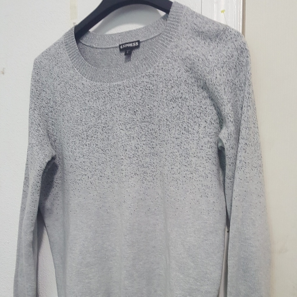 Express glitter sweater